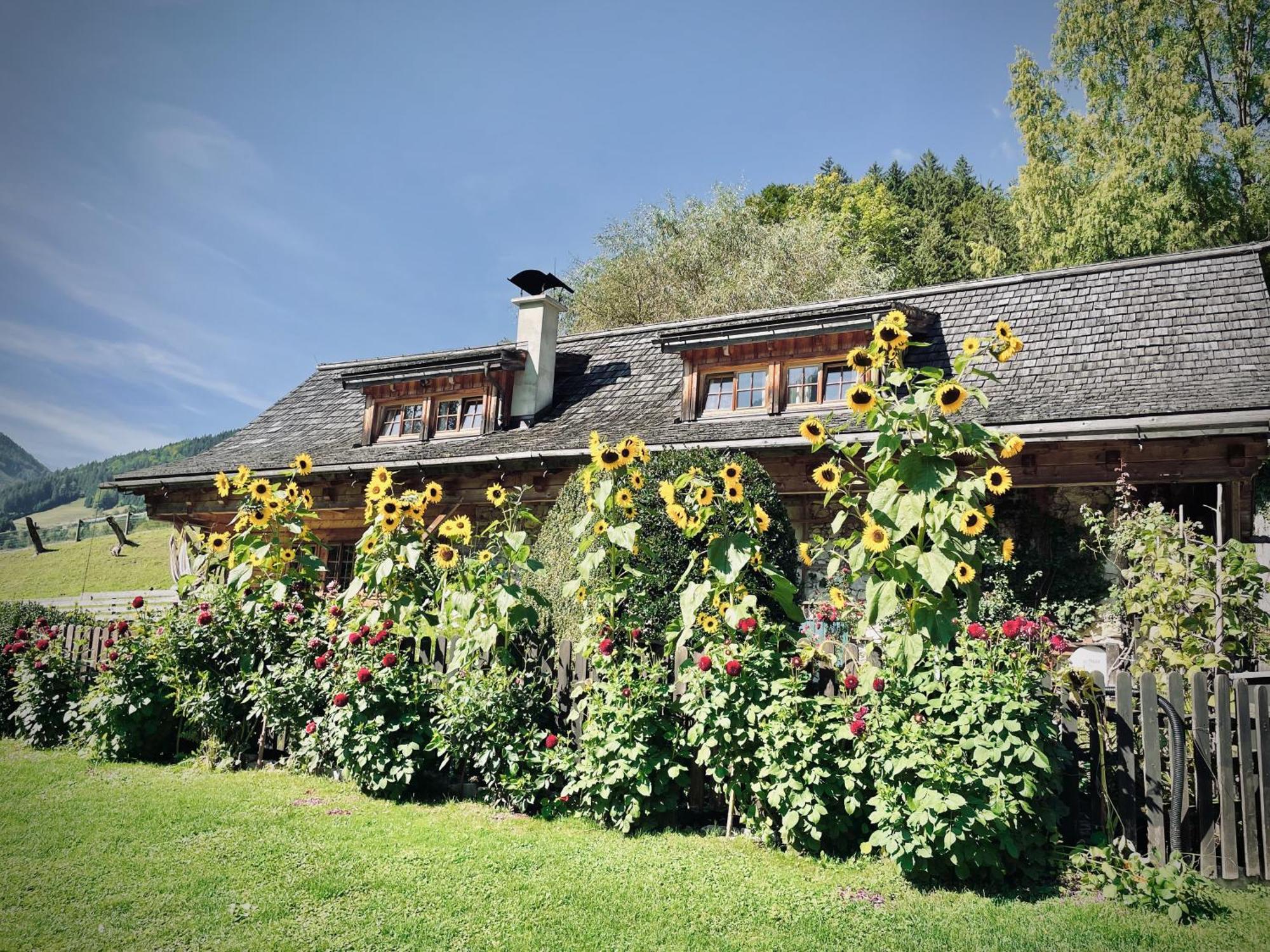 Rafting Camp Palfau Guest House Eksteriør bilde